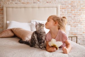 Cat Dental Cleaning in Oakland Township, MI | Faithful Friends Veterinary Care