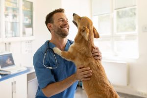 Pet Clinic in Oakland Township, MI | Faithful Friends Veterinary Care