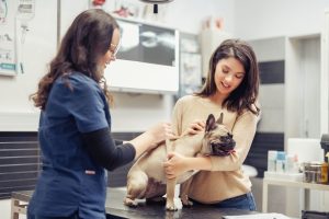 Flea/Tick Preventives in Oakland Township, MI | Faithful Friends Veterinary Care