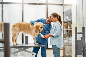 Heartworm Medication in Oakland Township, MI | Faithful Friends Veterinary Care