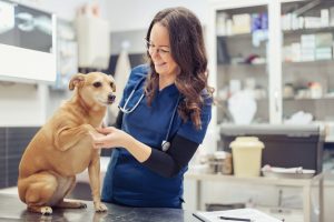 Nail Trim in Oakland Township, MI | Faithful Friends Veterinary Care